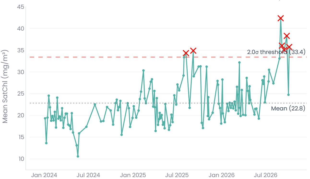Time series of mean satellite chlorophyll from 2024 to 2026 with anomalies above a threshold marked
